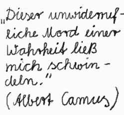 Albert Camus, Der Fall